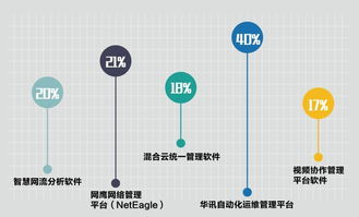 您的滿意，我們的動(dòng)力——華訊網(wǎng)絡(luò)2017年度軟件外包服務(wù)客戶滿意度調(diào)查報(bào)告解讀