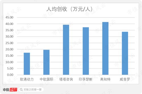 軟通動(dòng)力 私有化后的曲折上市路，軟件外包巨頭能否借注冊(cè)制圓夢(mèng)？